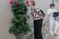 IMG-20240601-WA0008