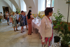 IMG_20240714_101004
